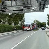 IMG_1780.jpeg